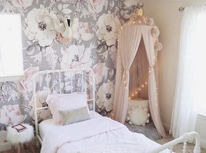 Princess Bed Canopy Pink